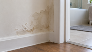 Damp stain and peeling paint above a skirting board beside a bathroom doorway.
